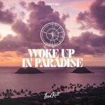 cover: Velvet Sky|Will Knight - Woke Up In Paradise