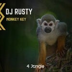 cover: Dj Rusty - Monkey Key