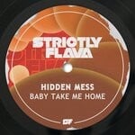 cover: Hidden Mess - Baby Take Me Home