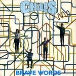 cover: The Chills - Brave Words