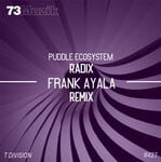 cover: Puddle Ecosystem - Radix (Frank Ayala Remix)