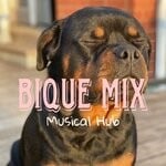 cover: Musical Hub - Bique Mix