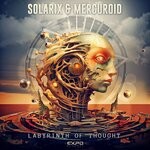 cover: Mercuroid|Solarix - Labyrinth Of Thought (Original Mix)