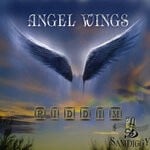 cover: Various - Angel Wings Riddim