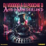 cover: Dj Voodoo|Dj Poochie D - Acid In Wonderland