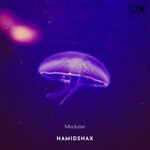 cover: Hamidshax - Meduse