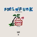 cover: Fieldfunk - Soul Rhythms