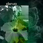 cover: Dxrvo - Untitled Rhythms 007