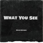 cover: Ruslan Rustamov - What You See