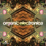 cover: Rainman - Organic Electronica