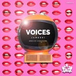 cover: JAMESKI (US) - Voices