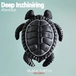 cover: Deep Inzhiniring - Aftershock