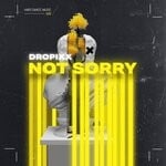 cover: Dropixx - Not Sorry (Live Edit)