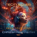 cover: Dubs|Necmi - Free Your Mind (Chaosprofi Remix)