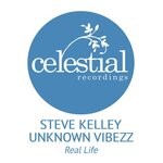 cover: Steve Kelley|Unknown Vibezz - Real Life