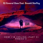 cover: Dj General Slam|Donald Sheffey - How I'm Feeling