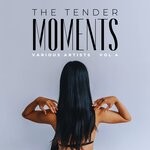 cover: Various - The Tender Moments, Vol 4