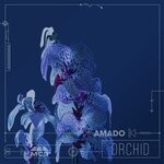 cover: Amado - Orchid