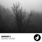 cover: Semper T. - Decisive Feeling