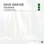 cover: Dave Swayze - Goldwave (Pole Folder & CP Remix)