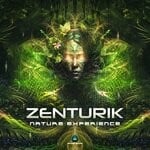 cover: Zenturik - Nature Experience