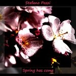 cover: Stefano Pozzi - Spring Has Come