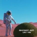 cover: Maze More - Somebody Just Like You