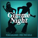 cover: Tom Leeland - Feel The Soul