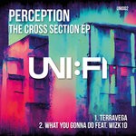 cover: Perception - The Cross Section EP