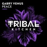 cover: Gabry Venus - Peace