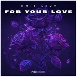 cover: Amit Levy - For Your Love