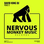 cover: David King Dj - Voice 5