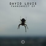 cover: David Louis - Fahrenheit