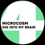 cover: Microcosm - Dig Into My Brain