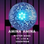 cover: LIIX|Mister Wawa - Amina Amina (Explicit)