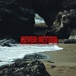 cover: The Burnt Tapes - Never Better (Explicit)