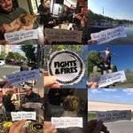 cover: Fights & Fires - Live Life Like A Tourist