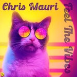 cover: Chris Mauri - Feel The Vibes