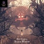 cover: Bud Cahill - Black Widow (Original Mix)