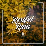 cover: Rain Sounds & White Noise - Restful Rain