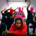 cover: Initial - Brawl La Land