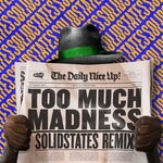 cover: Ragga Twins - Too Much Madness (Solidstates Remix)