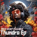 cover: Nats Kent Feelings - Thundra