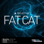 cover: Project Akc - Fat Cat EP