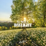 cover: Luminex|Will Knight - Daylight