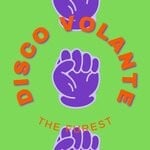 cover: The Furest - Disco Volante