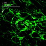 cover: Pato (ec) - Destiny