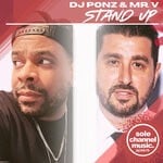 cover: Dj Ponz|Mr. V - Stand Up