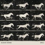 cover: Sugar Horse - DRUJ