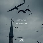 cover: Hamidshax - Istanbul (Original Mix)